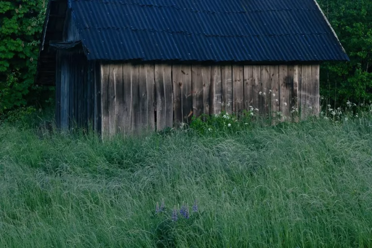 Weathered wooden shed in a grassy field for shed and garage removal